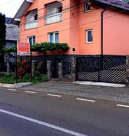 Pensiunea Anca Rona de Jos Buitenkant foto