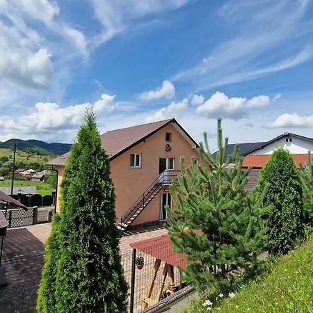 Pensiunea Anca Rona de Jos Buitenkant foto