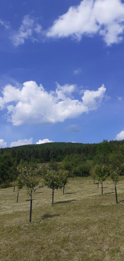 Pensiunea Anca Rona de Jos Buitenkant foto