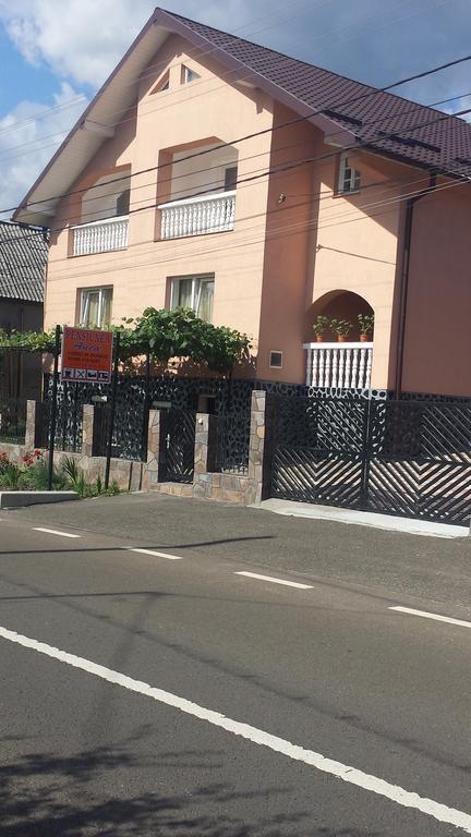 Pensiunea Anca Rona de Jos Buitenkant foto